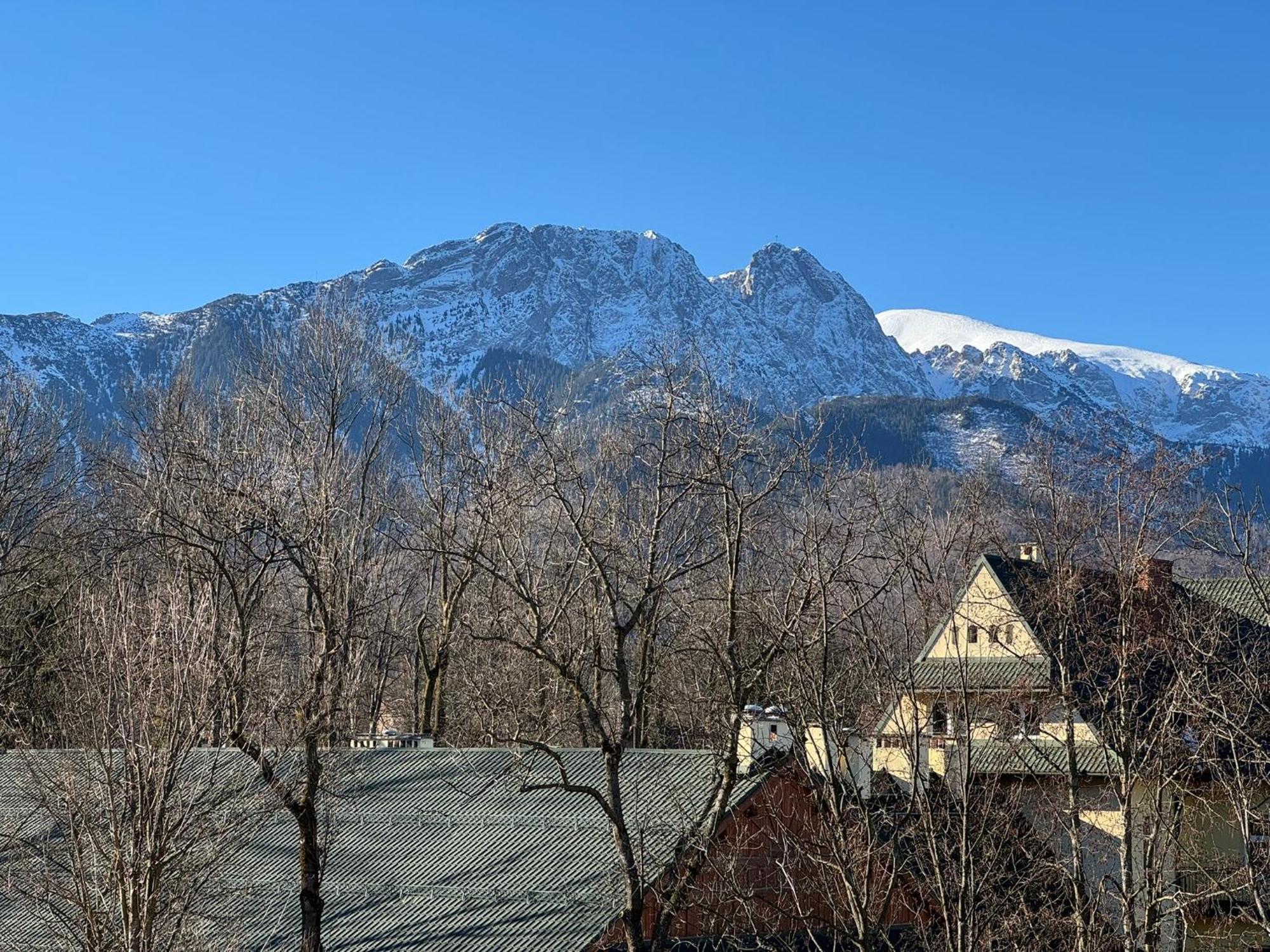 Dafne Zakopane Bed & Breakfast Екстериор снимка
