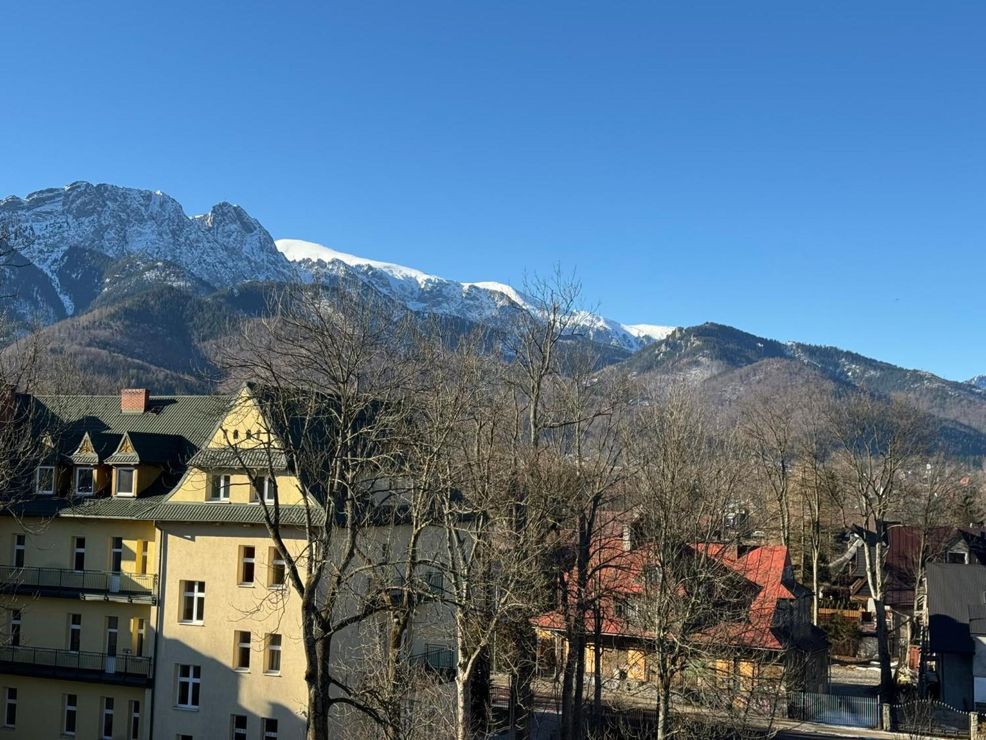 Dafne Zakopane Bed & Breakfast Екстериор снимка